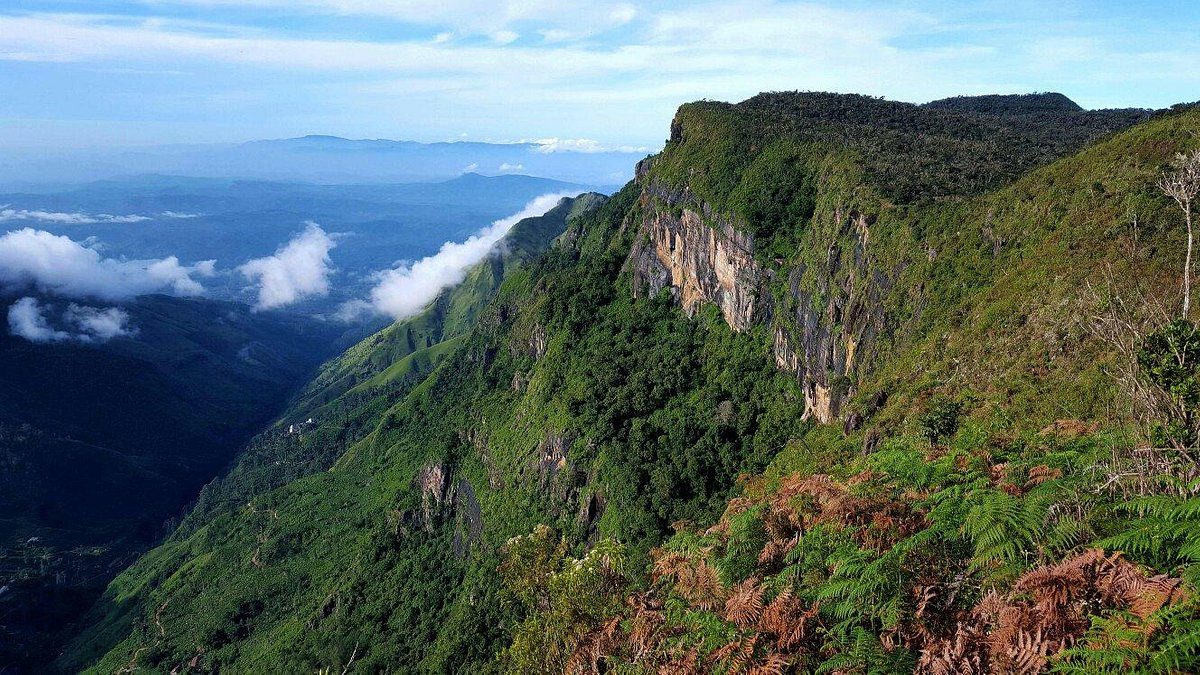 You are currently viewing Horton Plains